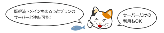 既得済のドメインもまるっとプランのサーバーと連結可能。サーバーだけの利用も可能。