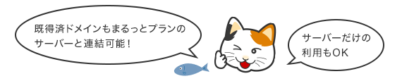 既得済のドメインもまるっとプランのサーバーと連結可能。サーバーだけの利用も可能。